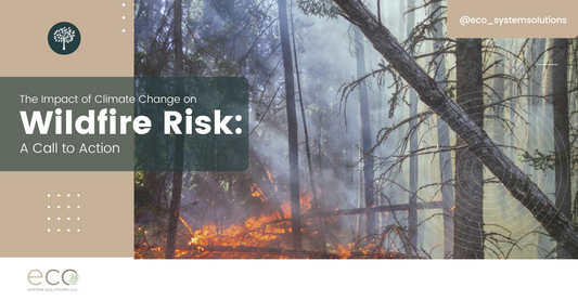 The Impact of Climate Change on Wildfire Risk: A Call to Action